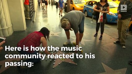 Musicians react to the news of Tom Petty passing away