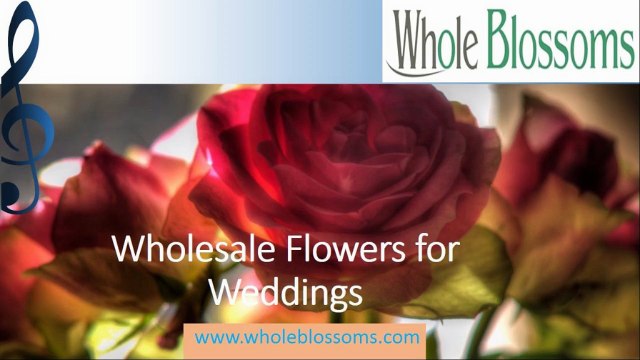 Wholesale Flowers for Weddings - wholeblossoms.com