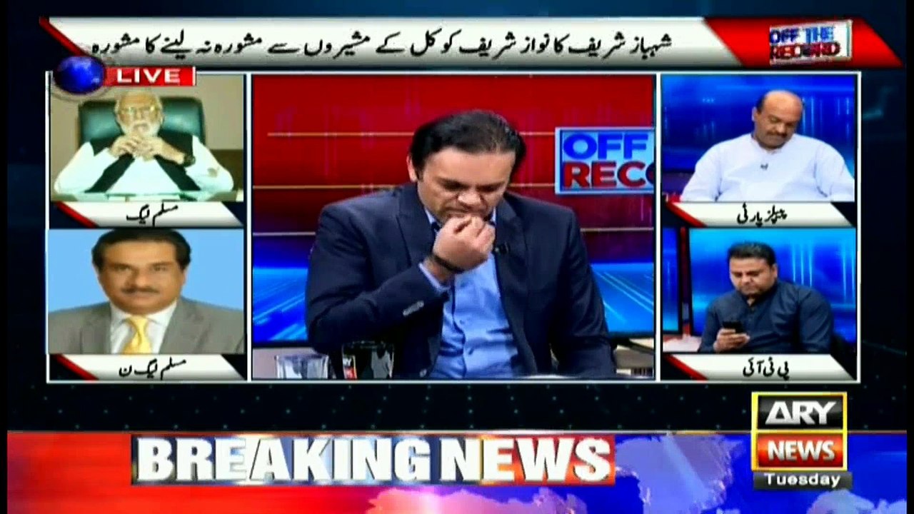 Raza Hayat says those statements should be made that should strengthen institutions