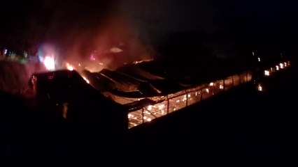 파주 돼지 축사에 불...돼지 1,300마리 폐사 / YTN