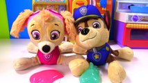 Best Learning with PAW PATROL Refrigerators Fridges Colors for Children | Fizzy Fun Toys