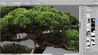 Photoshop Tutorial | Photo Manipulation ( Girl under tree )