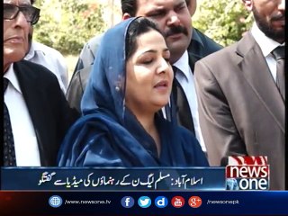 Anusha Rehman media talk outside NAB