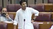 Dabang Speech By Murad Saeed In Assembly