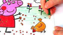 Learn The Colours with Peppa Pig - Learning Colors Video for children