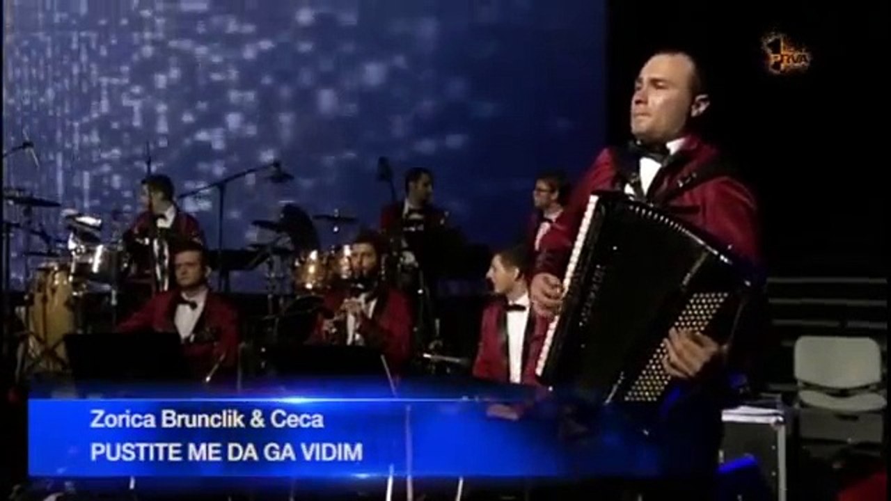Ceca i Zorica Brunclik - Pustite me da ga vidim - (Koncert Zorice Brunclik 2014)