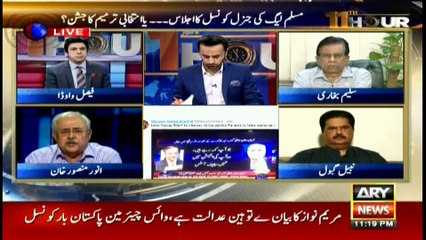 Panama Leaks was not a usual case: Anwer Mansoor