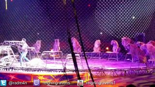 Lions and Tigers! | Chicago Ringling Brothers Circus