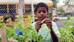 Whole Kids Foundation® Launches Growing Healthy Kids Campaign, Raising Money for School Salad Bars, Gardens, and Beehive