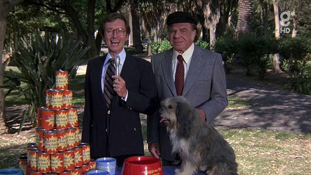 Hart aber herzlich  S02E04 - Hundeglueck mit Folgen