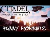 Citadel - Forged with Fire - THAT WIZARD LIFE Funny Moments Voge