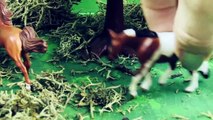 Breyer Halloween Movie - Into The Forest -Thirsty Part 2 of 3 Horses Mini Whinnies Video Series