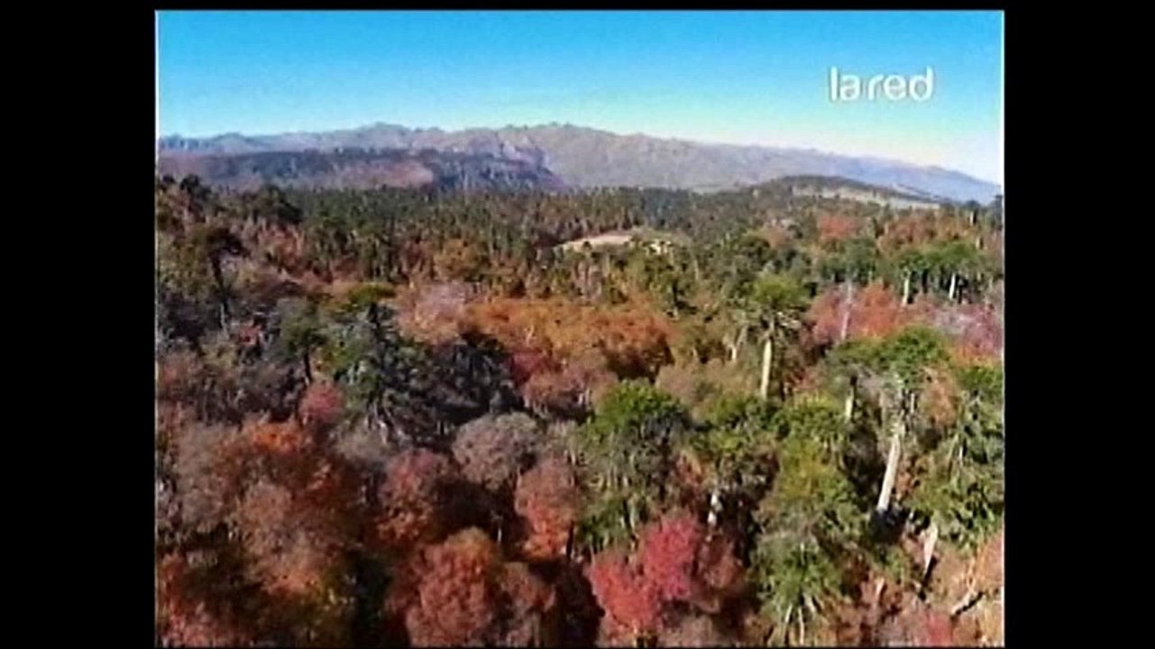 tierra  ojo del condor bio bio p 1