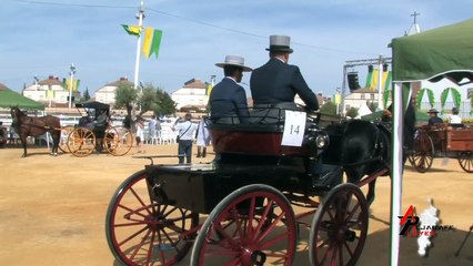 La Pará - Concurso de enganches