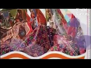 Vandana  A  Nirankari  on International Sindhi Day