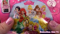 Disney Princess Surprise Mailbox!Kinder Surprise, Surprise Eggs, LPS, Palace Pets, Hello Kitty