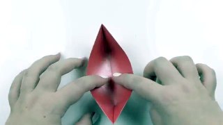 Origami 8 Petal Modular Lotus Flower