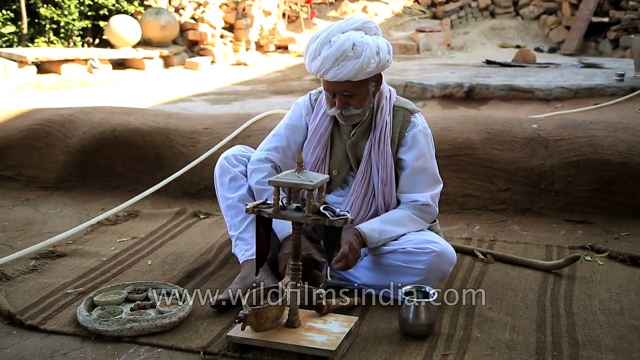 Opium being prepared and consumed by Bishnoi villager in Rajasthan