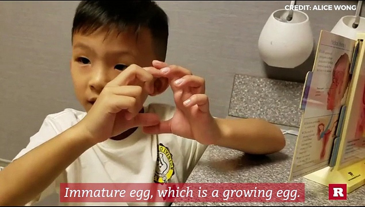 Boy genius Anson Wong explains the female reproduction system | Anson's Answers