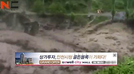 압구정홀덤010-7452-6966 여기