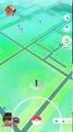 Pokémon GO 42 EGG Hatchings 10k,5k and 2k 100% IV Dratini Larvitar Chansey & more