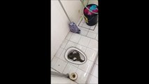 Elle essaie de tirer la chasse sur un lézard géant dans ses toilettes mais il revient!