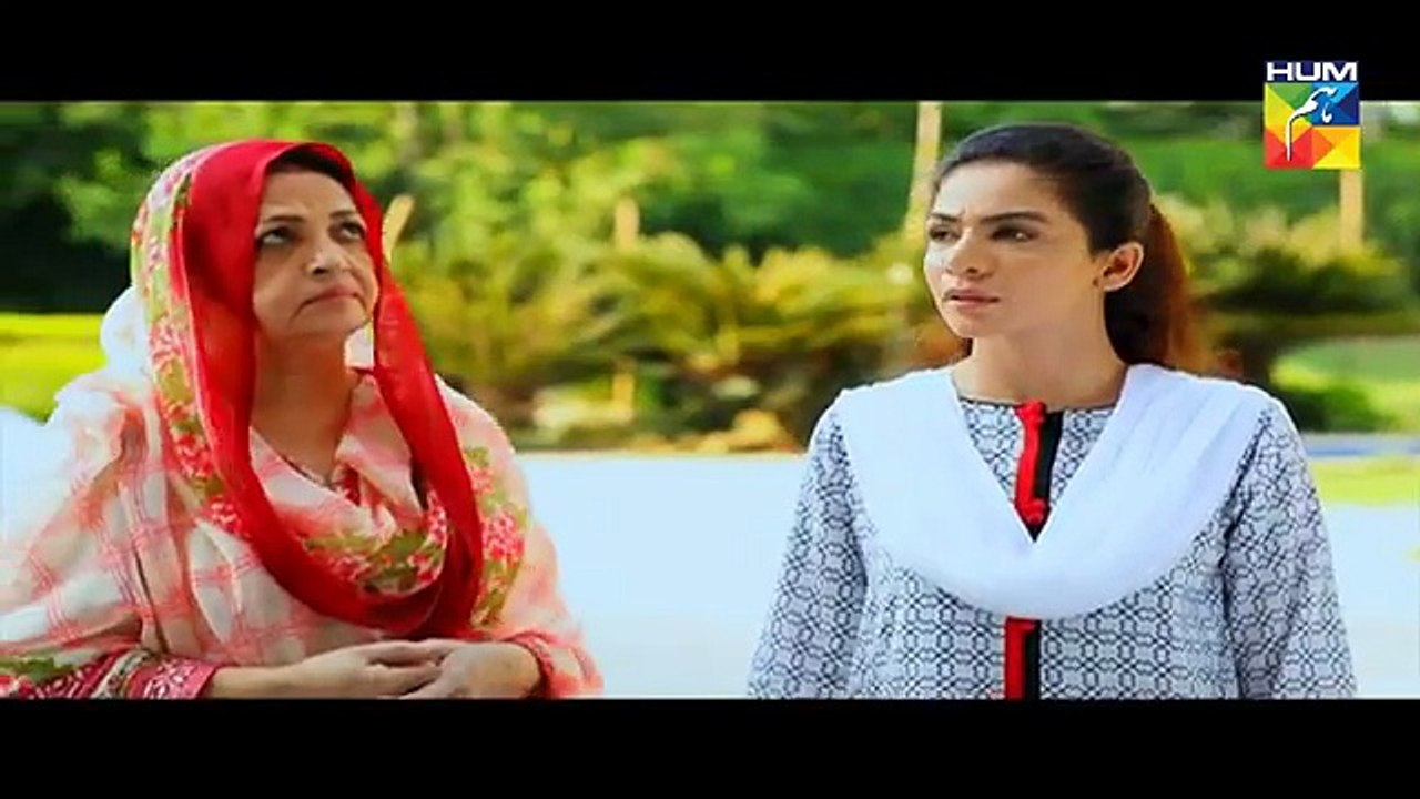 Adhi Gawahi Episode 27 HUM TV Drama - 4 October 2017