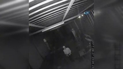 Şaşkın Hırsızlar Kendilerini Tanımayıp Arkadaşlarını Teşhis Etti