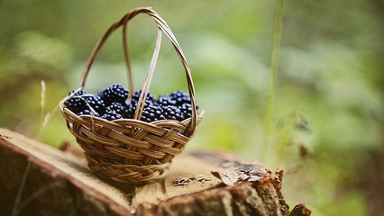 ما لم تعرفه عن أهمية الفاكهة في رمضان