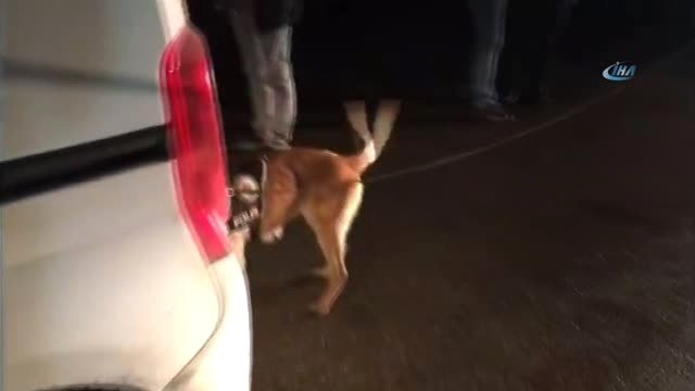 Van'da Narkotik Polisinden Uyuşturucu Tacirlerine Operasyon