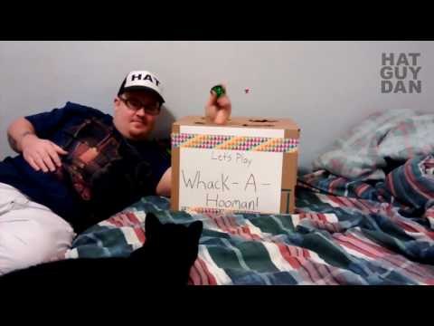 Clever Cat Outsmarts Whack a Human