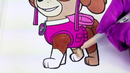 Nickelodeon Paw Patrol Speed Coloring Activity Page Fun for Kids Toddlers Children