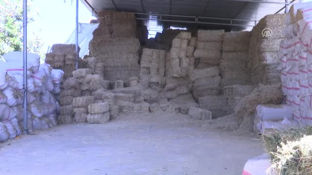 Saman Fiyatlarındaki Yükseliş İthalatla Durdu