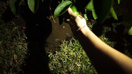 Cambios A La Nueva Casa YAY  | La Chula y Su Bombon