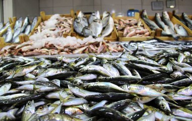 Balık Fiyatları El Yakıyor
