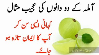 Example of two amla seed in urdu/hindi / best speech of islam