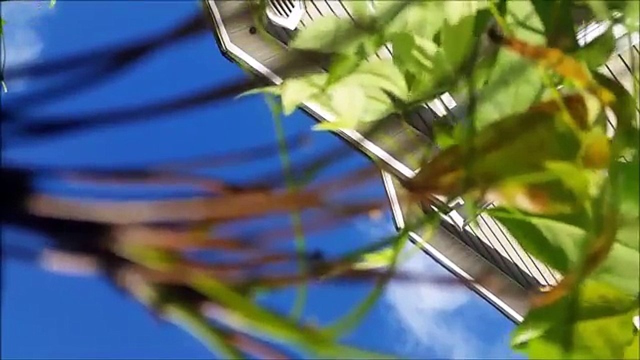 (This is not my phone ...) Wow! This Phone Falls From The Aircraft While Recording Video, The Result