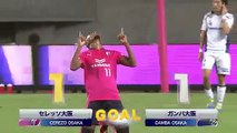 1-1 Ricardo Santos Goal Japan  J-League Cup  Semifinal - 04.10.2017 Cerezo Osaka 1-1 Gamba Osaka