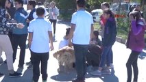 Niğde Öğrenciler Hayvan Barınağını Ziyaret Etti