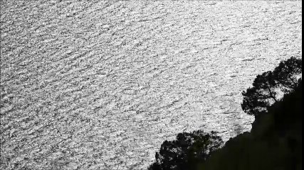 ALEXIS KARPOUZOS COMMUNITY: THE WAVE