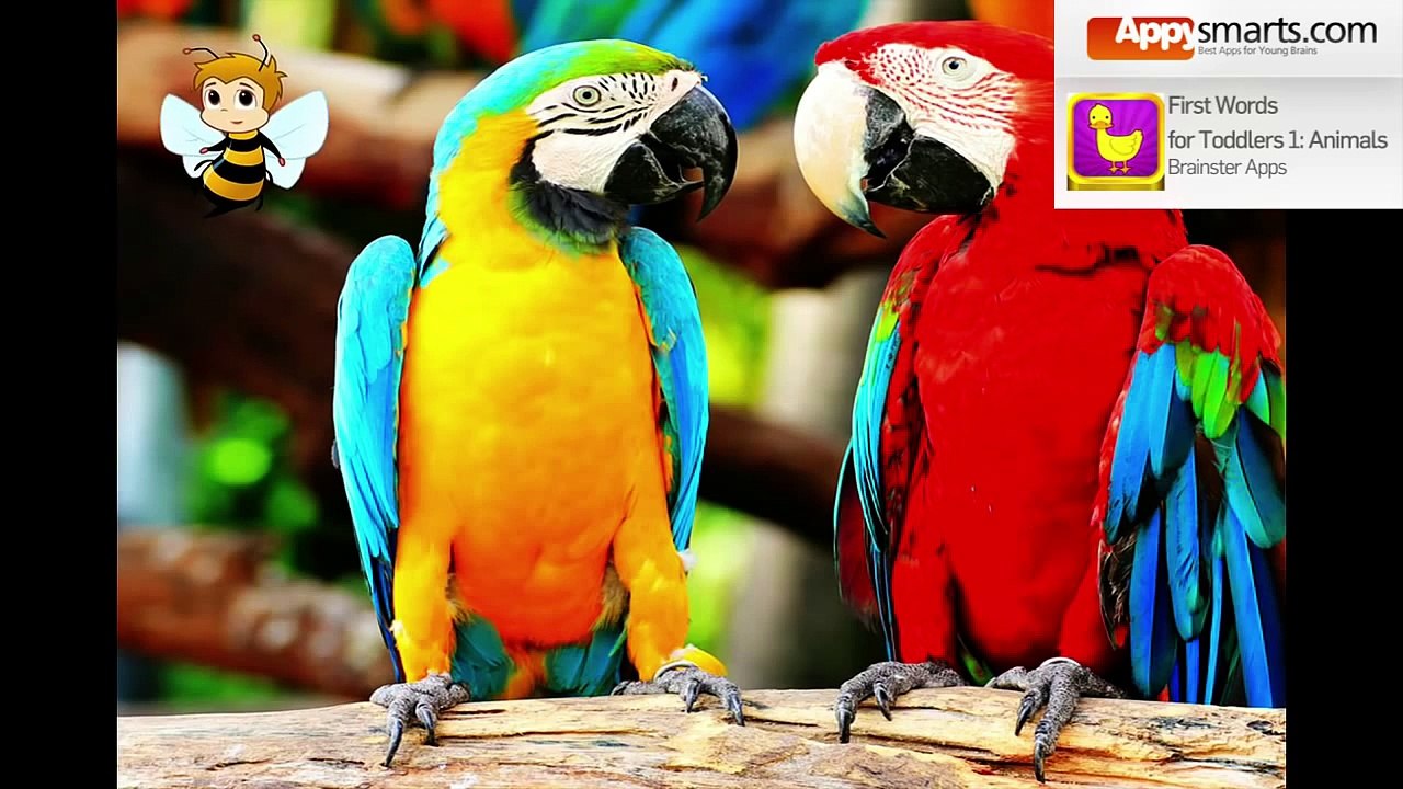 First Words for Toddlers 1: Animals by Brainster Apps - video review