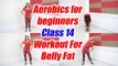 Aerobics for beginners - Class 14 |  Aerobic Exercise for belly fat | Boldsky