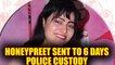 Honeypreet Insan sent to six days police remand by Panchkula Court | Oneindia News