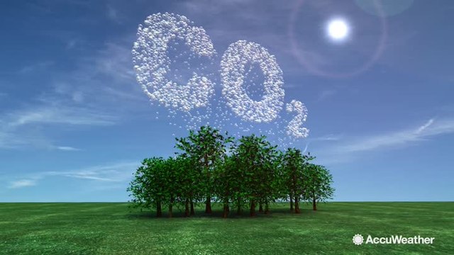Reducing your carbon footprint