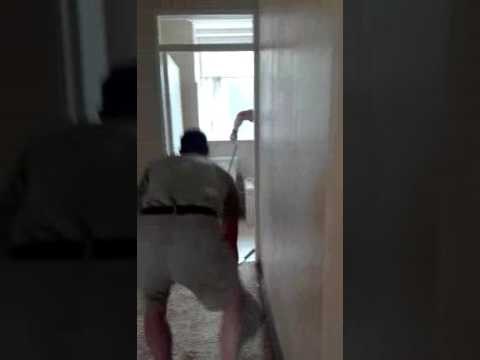 Snake Found in Toilet at Home in Pretoria, South Africa