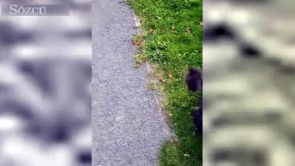 Bomba ihbarına jetler havada müdahale etti!