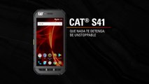 Cat S41, nuevo móvil robusto y resistente de Cat