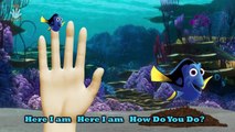 Baby Kids Song - Finding Nemo Finger Family Nursery Rhymes For Children   A&E Channel