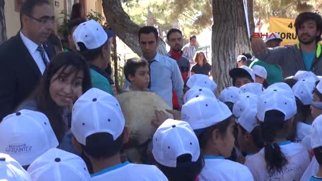 Gaziantep Fatma Şahin, Hayvanları Sevdi