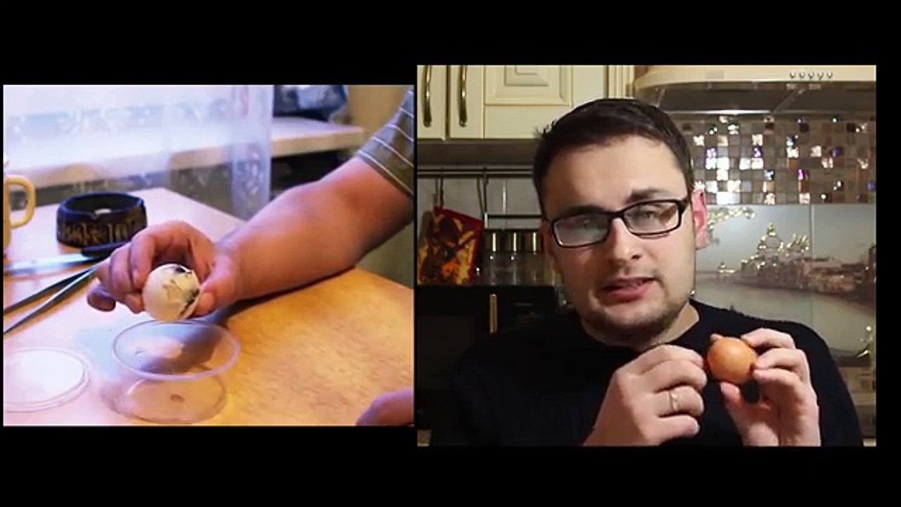 Гомункул - разоблачаем по шагам (Homunculus debunked)